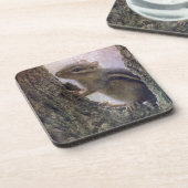 Ground Eichhörnchengrunge Getränkeuntersetzer (Linke Seite)