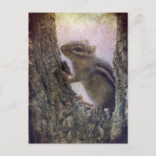 Ground Eichhörnchengrunge Postkarte (Vorderseite)