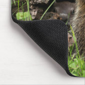 Ground Hog Munching auf einer Blume Mousepad (Ecke)