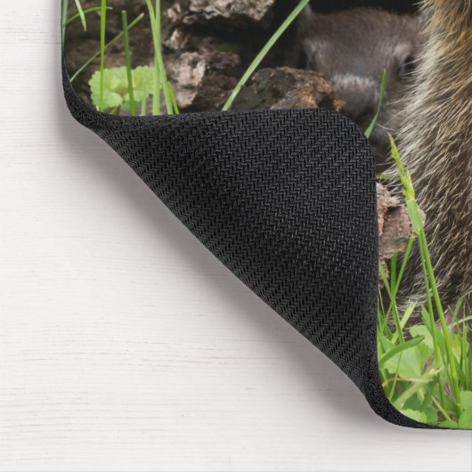 Ground Hog Munching auf einer Blume Mousepad (Ecke)