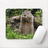 Ground Hog Munching auf einer Blume Mousepad (Mit Mouse)