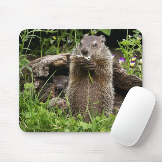 Ground Hog Munching auf einer Blume Mousepad (Mit Mouse)