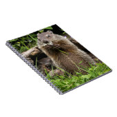 Ground Hog Munching auf einer Blume Notizblock (Rechte Seite)
