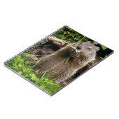 Ground Hog Munching auf einer Blume Notizblock (Linke Seite)
