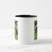 Ground Hog Munching auf einer Blume Tasse (Zentrum)