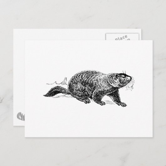 Ground Hog Postkarte (Vorne/Hinten)
