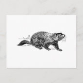 Ground Hog Postkarte (Vorderseite)