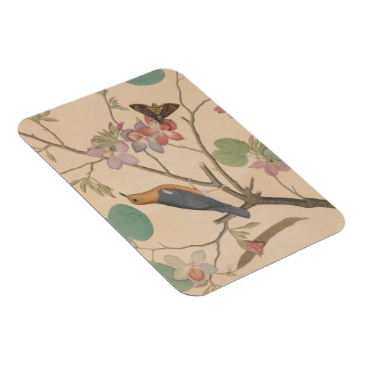 Ground Thrush and Moth auf einer Orchid-Zweigstell Magnet (Rechte Seite)