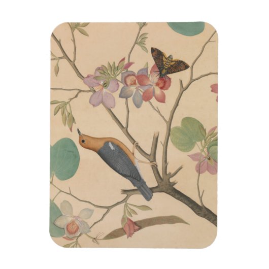 Ground Thrush and Moth auf einer Orchid-Zweigstell Magnet (Vertikal)