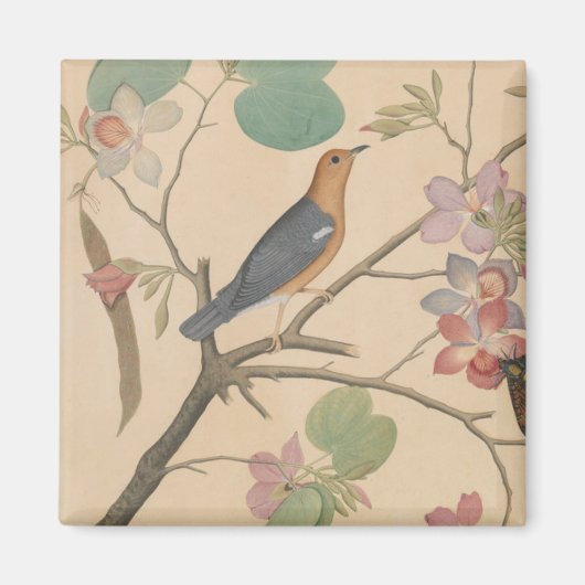 Ground Thrush and Moth auf einer Orchid-Zweigstell Magnet (Vorne)