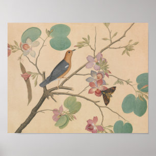 Ground Thrush and Moth auf einer Orchid-Zweigstell Poster