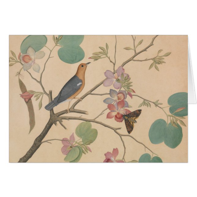 Ground Thrush and Moth on an Orchid Branch (Vorderseite (Horizontal))