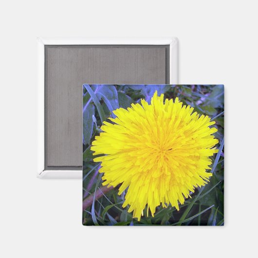 Grounded Sunshine Magnet (Vorderseite/Rückseite)