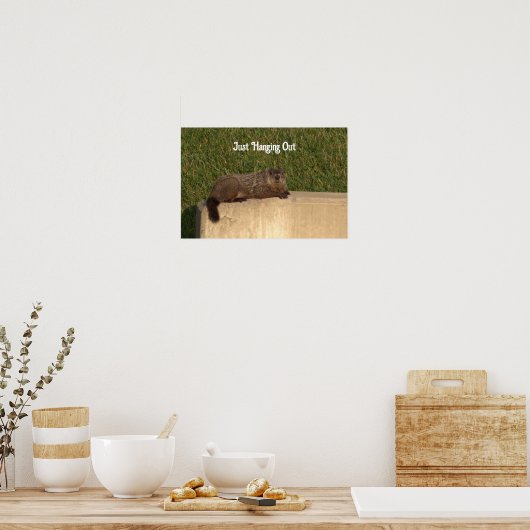 Groundhock auf einem Wall-Poster Poster (Küche)