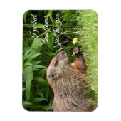 Groundhog alias Woodchuck mit Blume Magnet (Vertikal)
