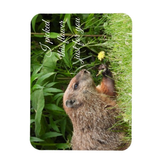 Groundhog alias Woodchuck mit Blume Magnet (Vertikal)