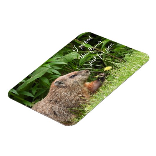 Groundhog alias Woodchuck mit Blume Magnet (Linke Seite)