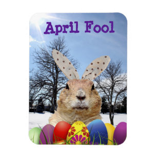 Groundhog April Narr Day Magnet
