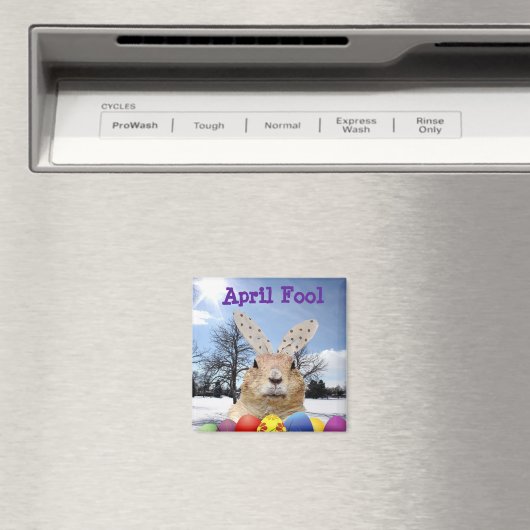 Groundhog April Narr Day Magnet (In Situ (Geschirrspüler))