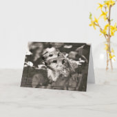 Groundhog Babys Karte (Gelbe Blume)