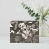 Groundhog Babys Postkarte (Stehend Vorderseite)