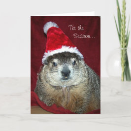 Groundhog Clara Feiertags-Gruß-Karte Feiertagskarte