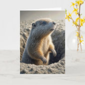 Groundhog Day Birthday Karte (Gelbe Blume)