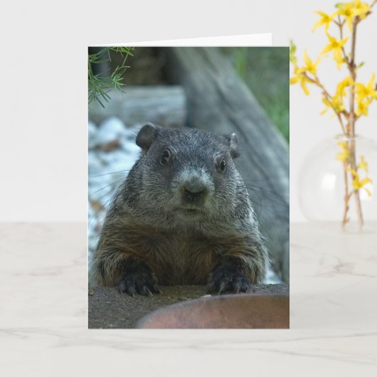 Groundhog Day! Karte (Gelbe Blume)