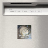 Groundhog Day Magnet (In Situ (Geschirrspüler))