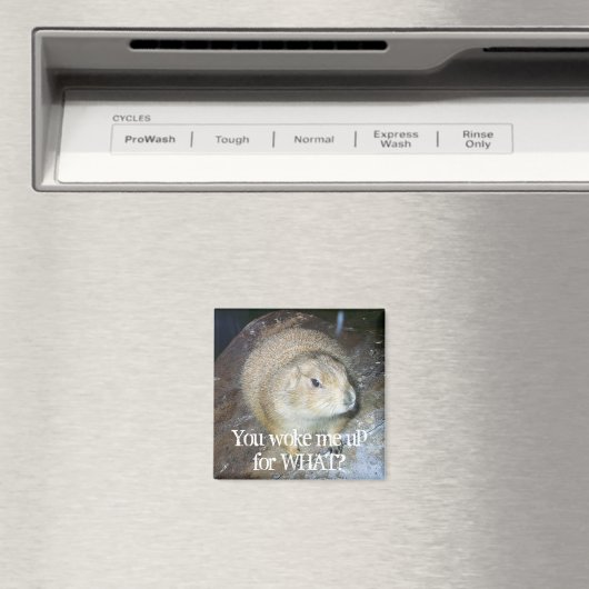 Groundhog Day Magnet (In Situ (Geschirrspüler))