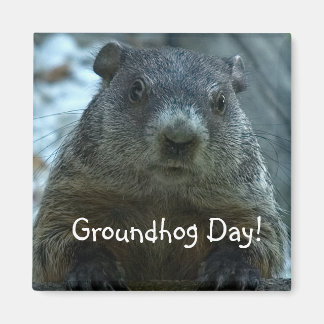 Groundhog Day! Magnet