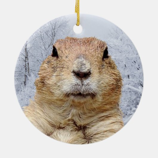 Groundhog Day Polar Vortex Keramik Ornament (Hinten)