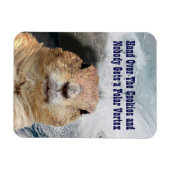 Groundhog Day Polar Vortex Magnet (Horizontal)