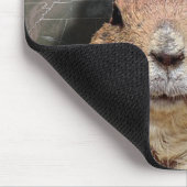 Groundhog Day Polar Vortex Mousepad (Ecke)