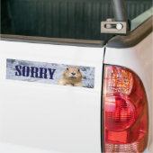 Groundhog Day Sorry Autoaufkleber (Auf Lkw)