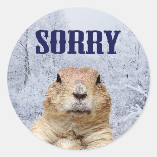 Groundhog Day Sorry Runder Aufkleber (Vorderseite)