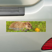 Groundhog Day Tidings für Sie! Autoaufkleber (Auf Auto)