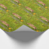 Groundhog Day Tidings für Sie! Packpapier! Geschenkpapier (Ecke)