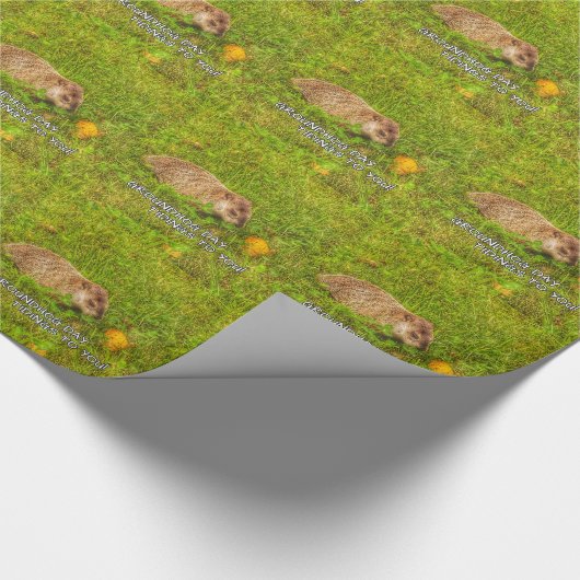 Groundhog Day Tidings für Sie! Packpapier! Geschenkpapier (Ecke)