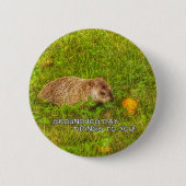 Groundhog Day Tidings zu Ihnen auf Knopf! Button (Vorderseite)