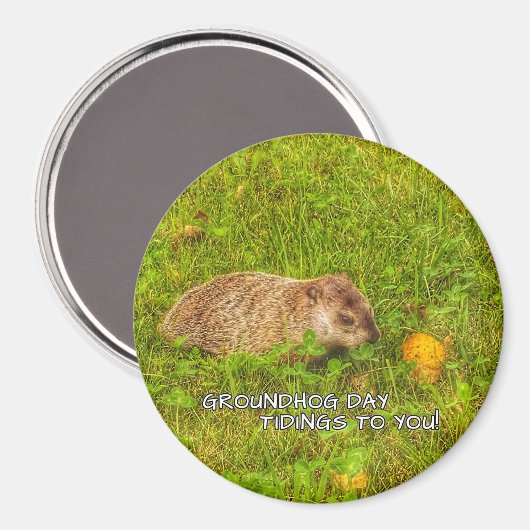 Groundhog Day tidings zu Ihnen, Magnet! Magnet (Vorderseite/Rückseite)