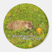 Groundhog Day tidings zu Ihnen, Magnet! Magnet (Vorne)