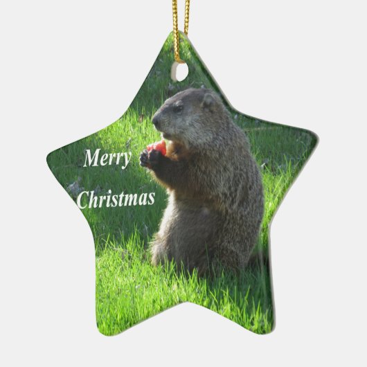 Groundhog Essen Keramik Ornament (Links)