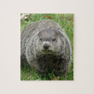 Groundhog Essen Puzzle