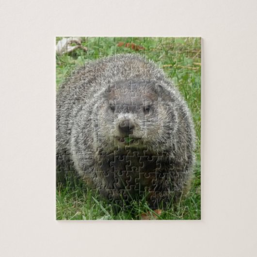 Groundhog Essen Puzzle (Vertikal)