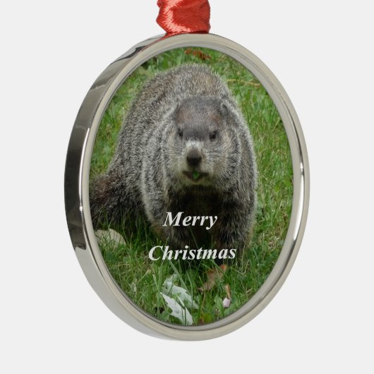 Groundhog Essen Silbernes Ornament (Rechts)
