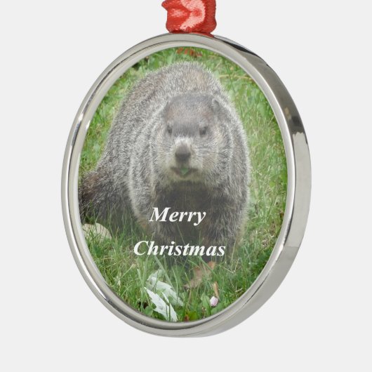 Groundhog Essen Silbernes Ornament (Links)