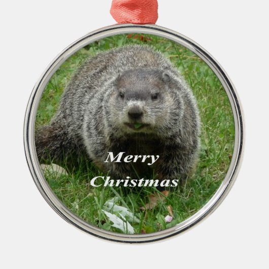 Groundhog Essen Silbernes Ornament (Vorne)