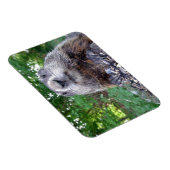 Groundhog Flexi-Magnet 3 x 4 Magnet (Rechte Seite)