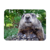 Groundhog Flexi-Magnet 3 x 4 Magnet (Horizontal)